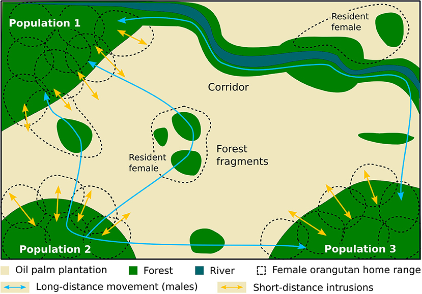 www.frontiersin.org