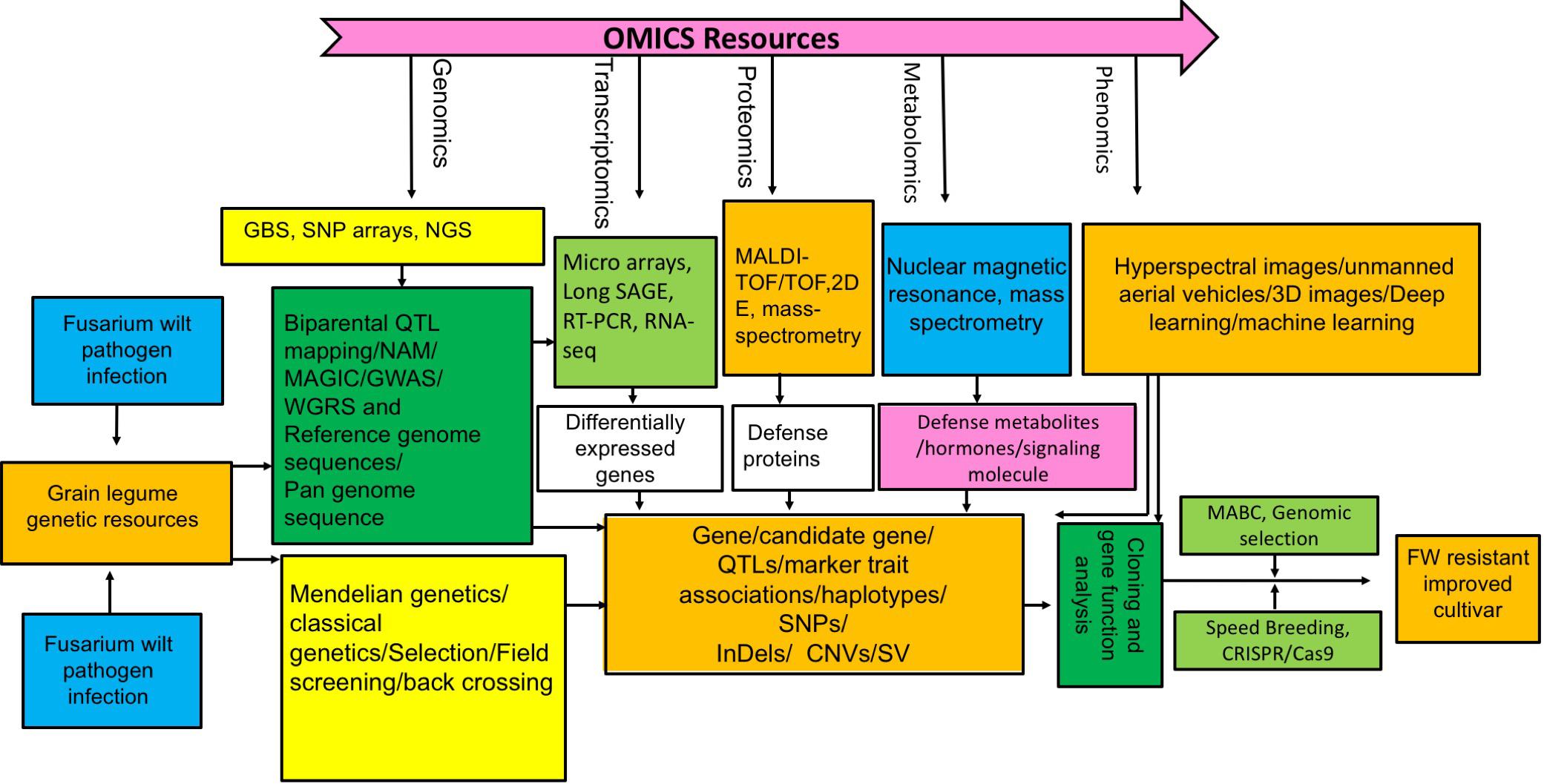 Frontiers | Breeding, Genetics, and Genomics Approaches for