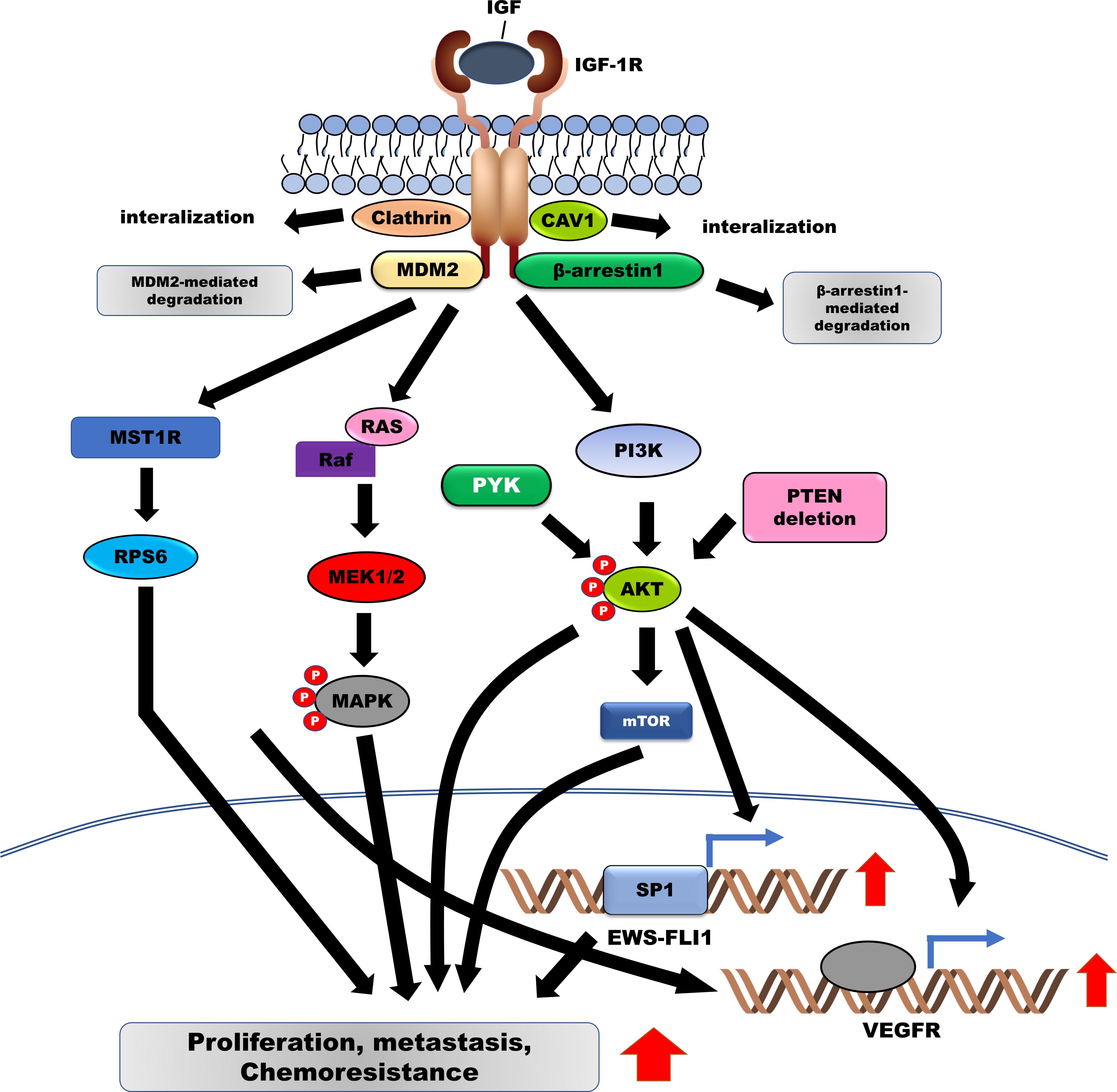 malignant mesothelioma prevention