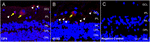 www.frontiersin.org