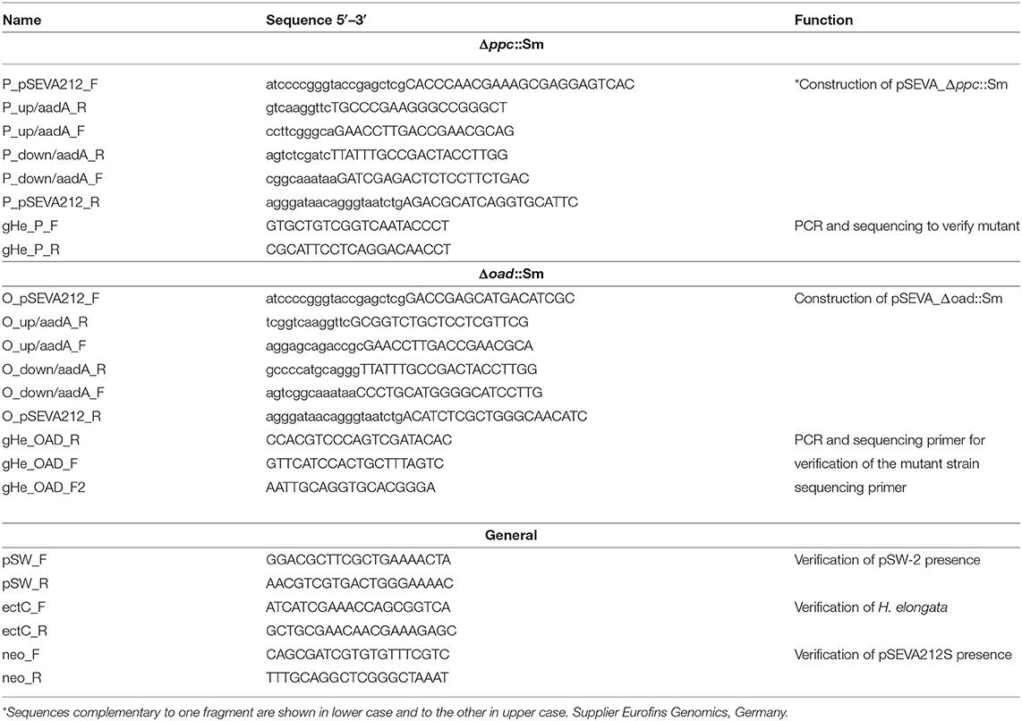 Frontiers Anaplerotic Pathways In Halomonas Elongata The Role Of The Sodium Gradient Microbiology