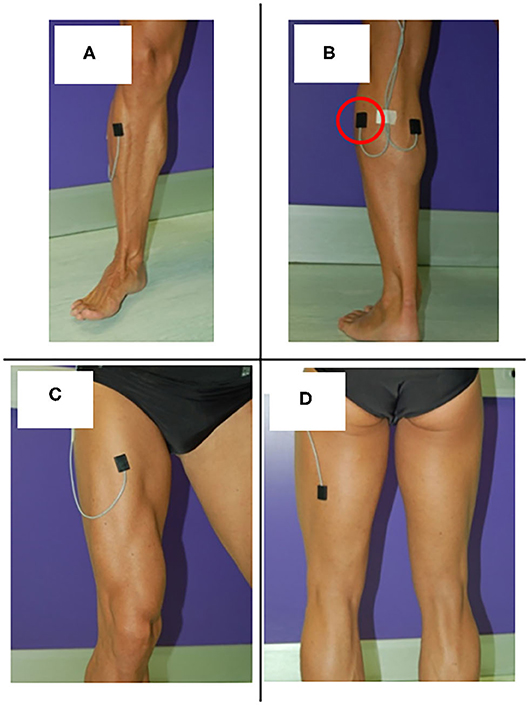 PDF] Assessment of Effective Ankle Joint Positioning in Strength