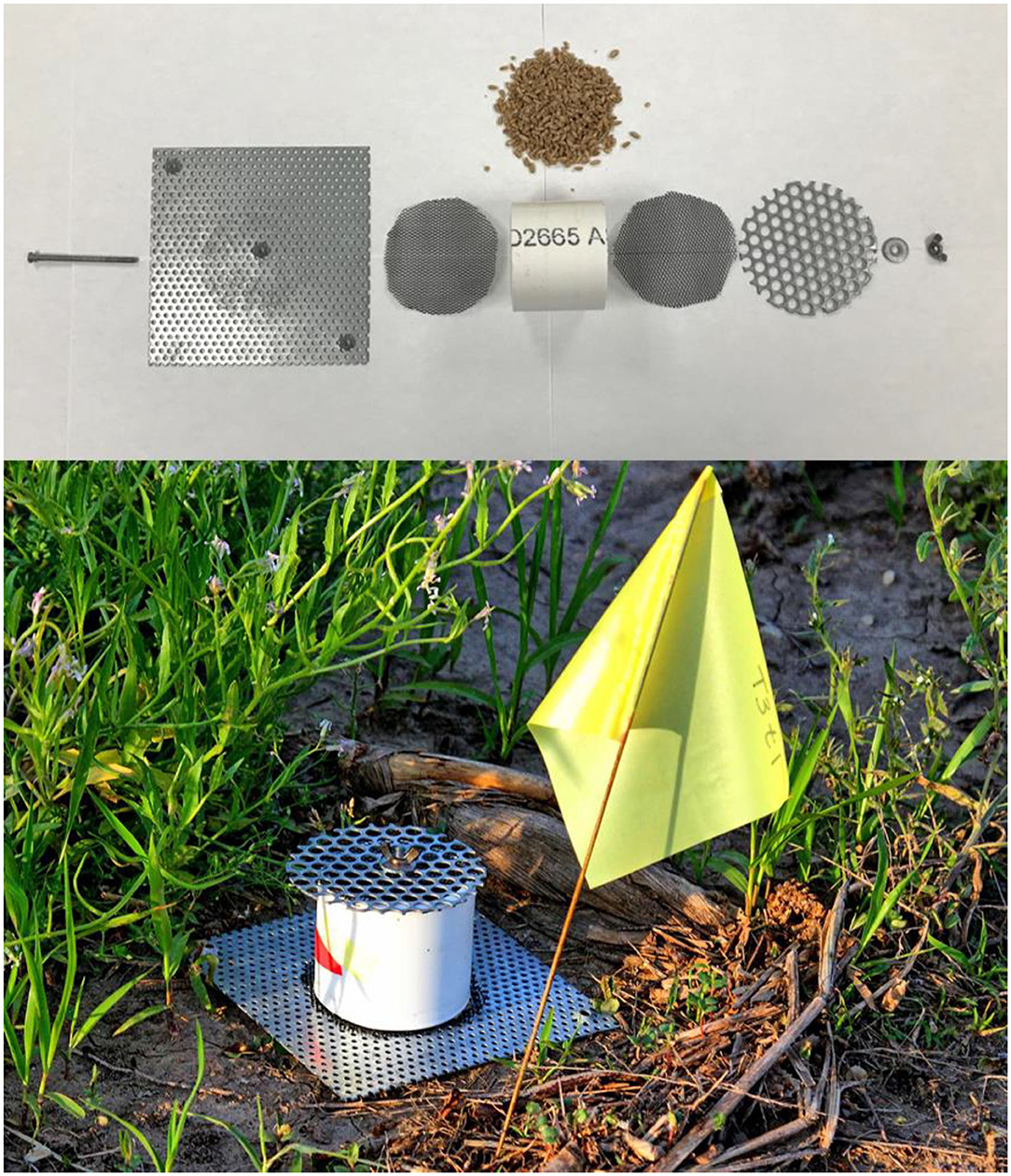 Figure showing types of insect traps: A. Pheremone trap, B:Light
