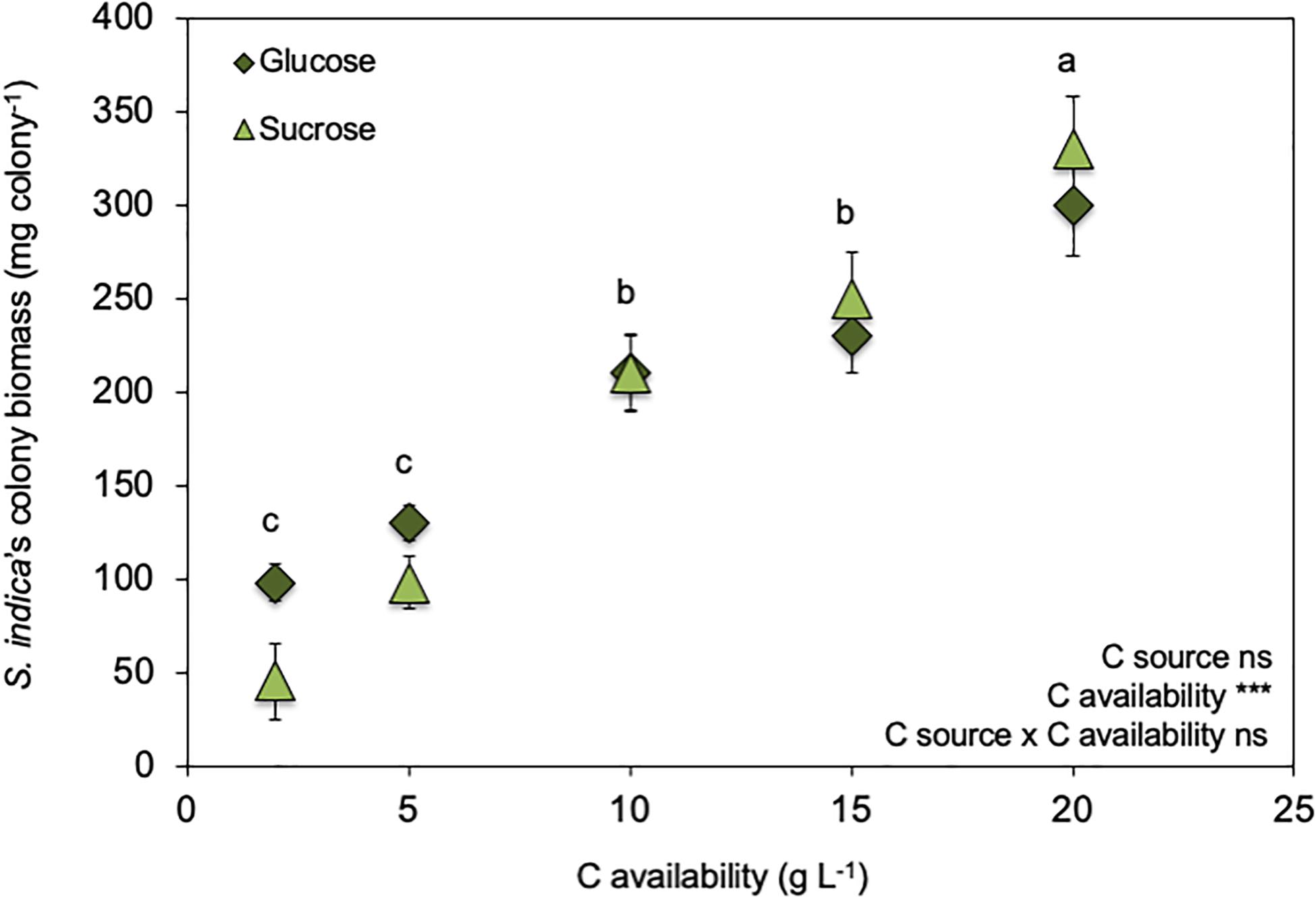 Frontiers The Free Living Stage Growth Conditions Of The Endophytic Fungus Serendipita Indica May Regulate Its Potential As Plant Growth Promoting Microbe Microbiology