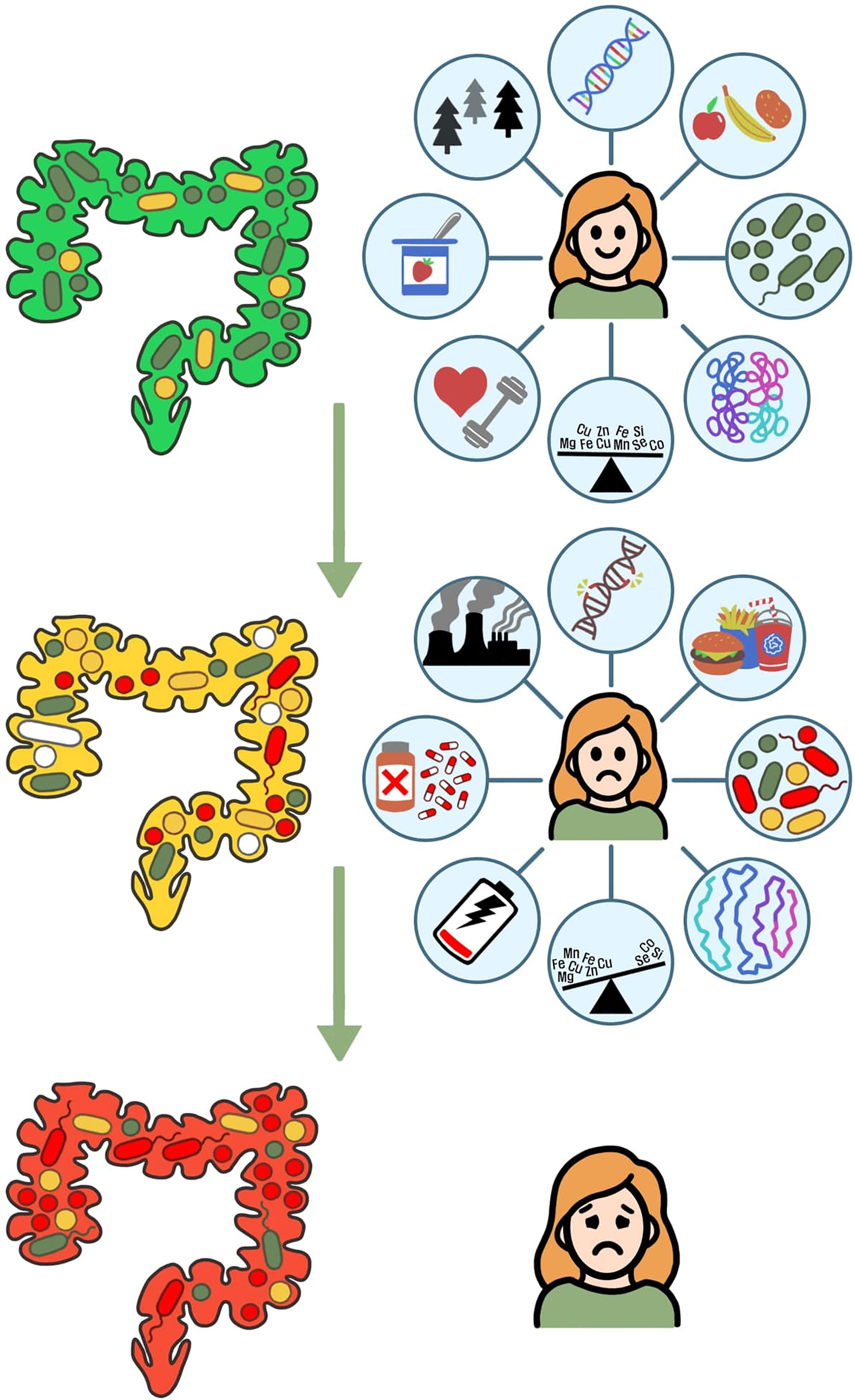 Frontiers Recurrent Urinary Tract Infections Unraveling the Complicated Environment of Uncomplicated rUTIs image