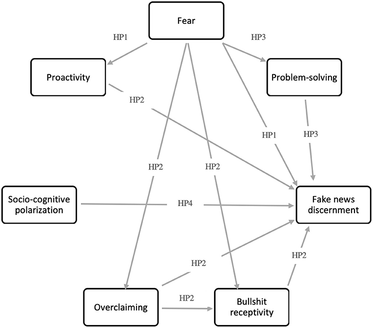 Fake brain 3 Diagram