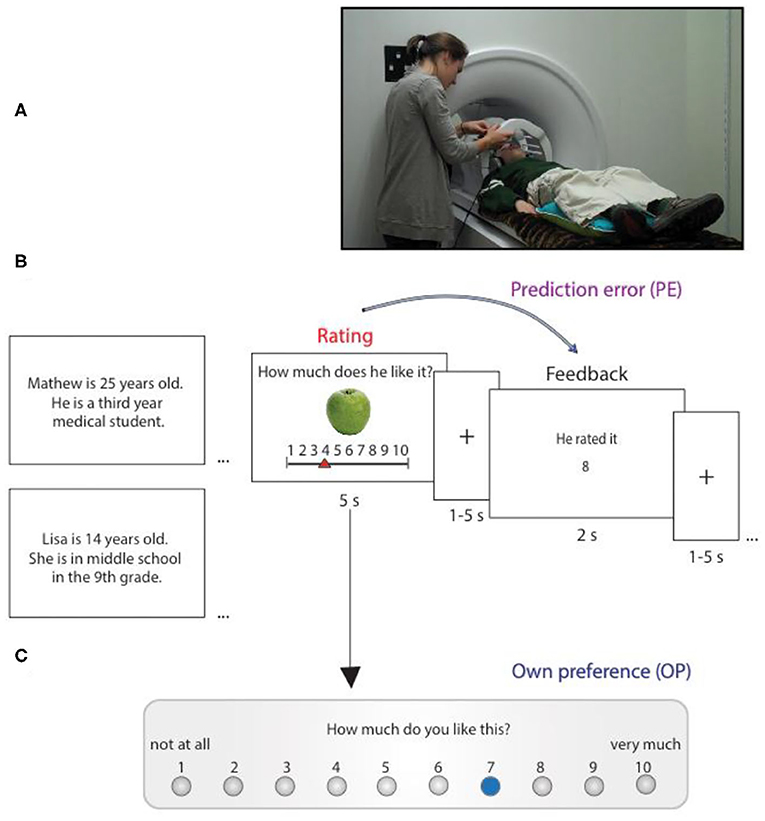 Figure 2 - Our experimental setup.