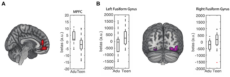 Figure 3 - Teens and adults seem to use different brain regions to learn about the preferences of others.