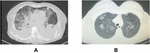 www.frontiersin.org