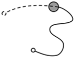 www.frontiersin.org