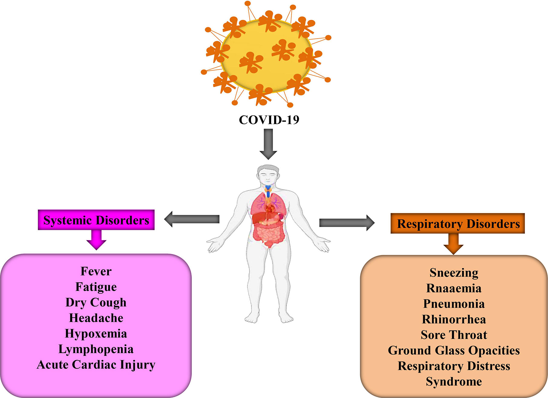 Frontiers  Cognitive impairment after long COVID-19: current evidence and  perspectives