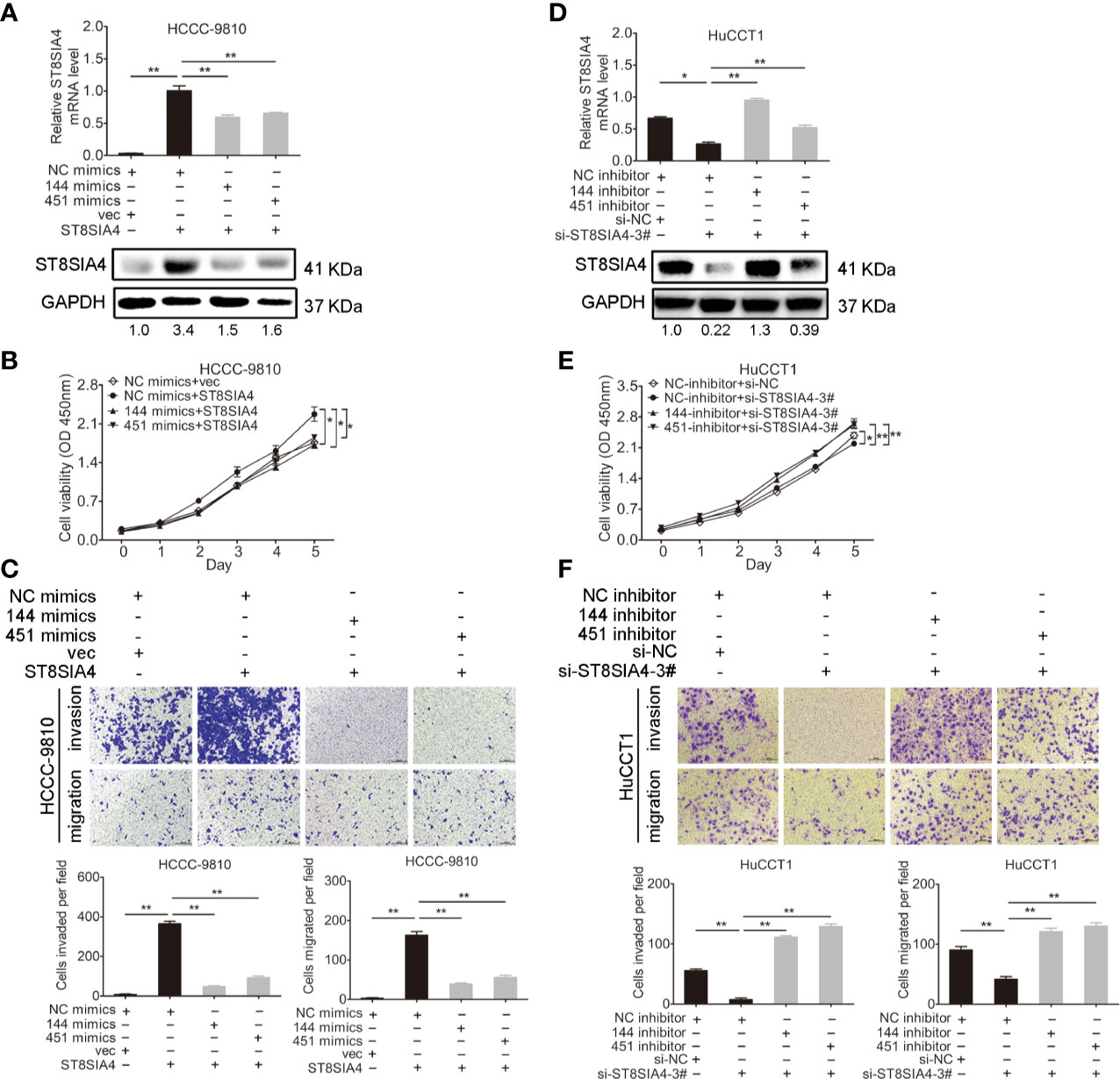 Frontiers Mir 144 5p And Mir 451a Inhibit The Growth Of Cholangiocarcinoma Cells Through