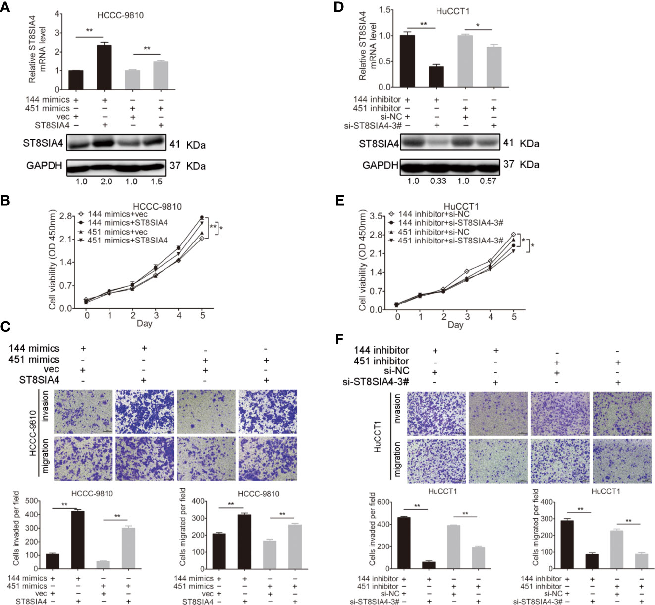 Frontiers Mir 144 5p And Mir 451a Inhibit The Growth Of Cholangiocarcinoma Cells Through