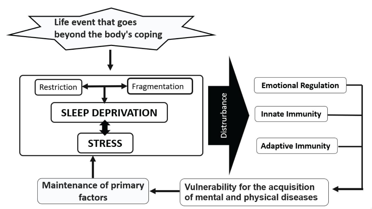 Frontiers | Impact of Sleep Deprivation on Emotional Regulation 