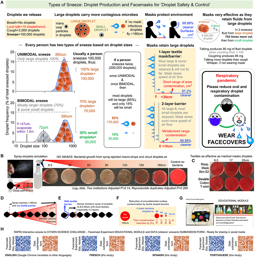 Frontiers  A Citizen Science Facemask Experiment and Educational