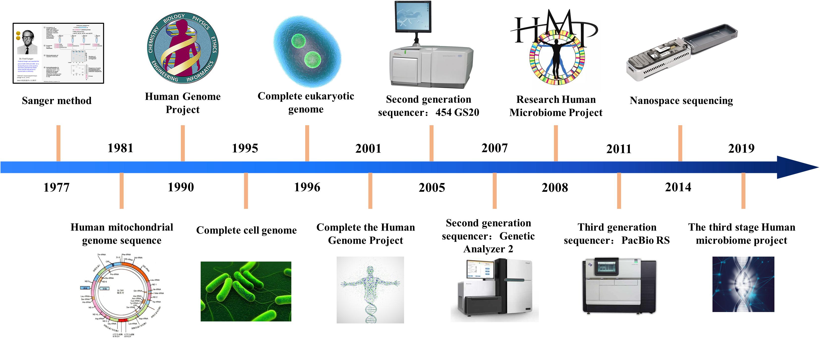 Frontiers | Review on the Application of Machine Learning Algorithms in the Sequence Data Mining ...