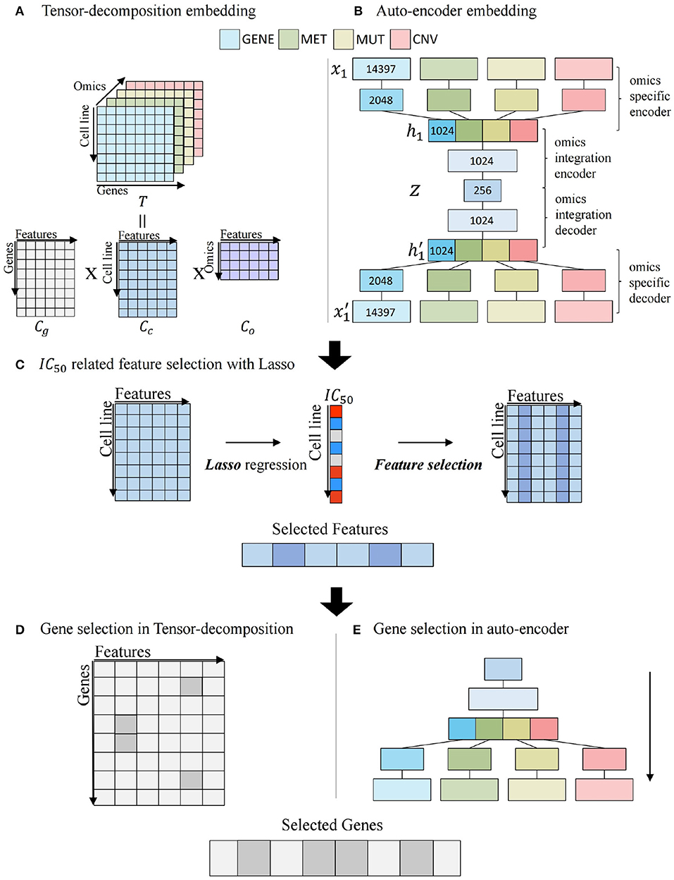 Frontiers DRIM A Web Based System for Investigating Drug