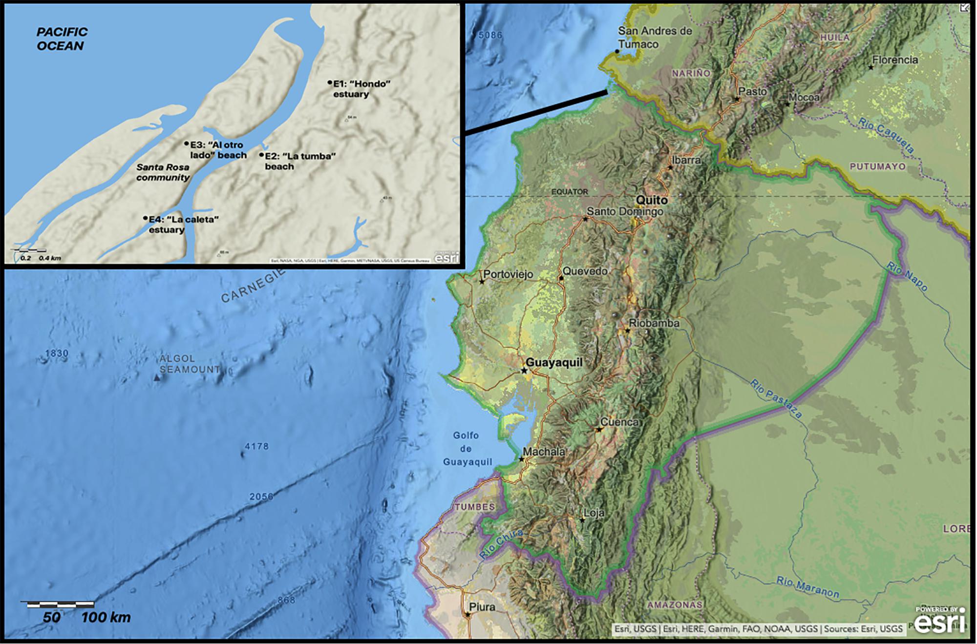 www.frontiersin.org