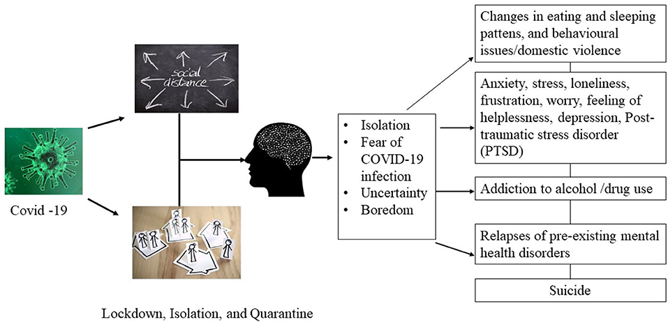 Frontiers  Impact of Coronavirus Disease 2019 (COVID-19) Outbreak  Quarantine, Isolation, and Lockdown Policies on Mental Health and Suicide