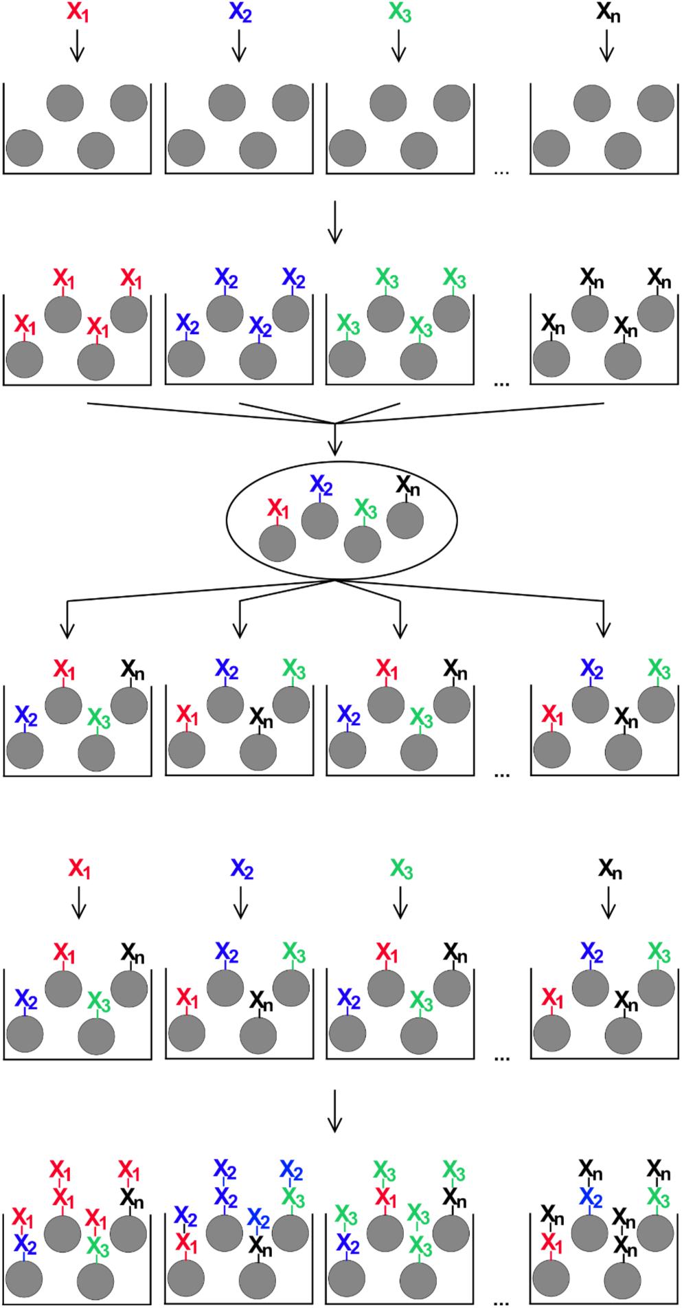 Frontiers  IgE Epitope Profiling for Allergy Diagnosis and