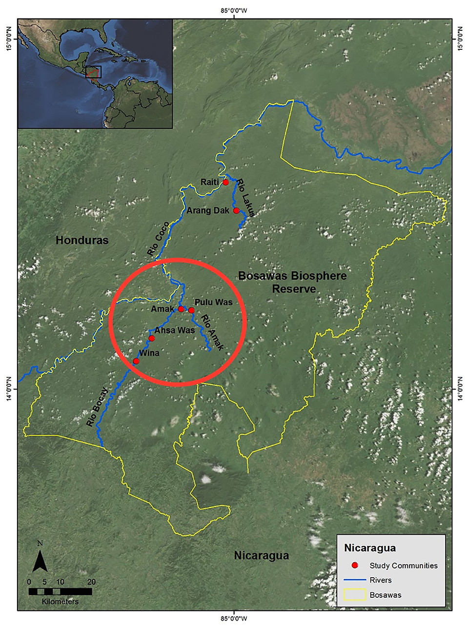 www.frontiersin.org