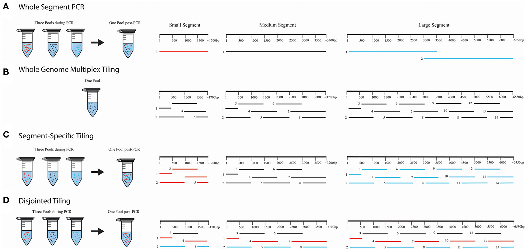Frontiers AmpliconBased, NextGeneration Sequencing Approaches to