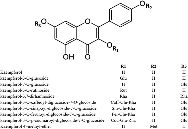 Frontiers The Pharmacological Action Of Kaempferol In Central Nervous System Diseases A Review Pharmacology