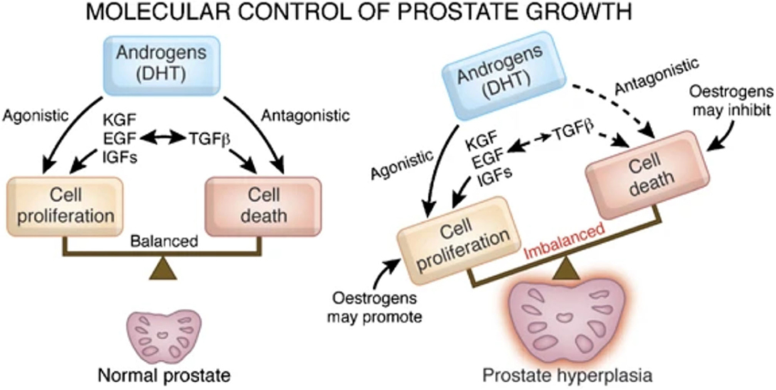 Good Recommendations On The Solution To Relieve Constipation During Pregnancy