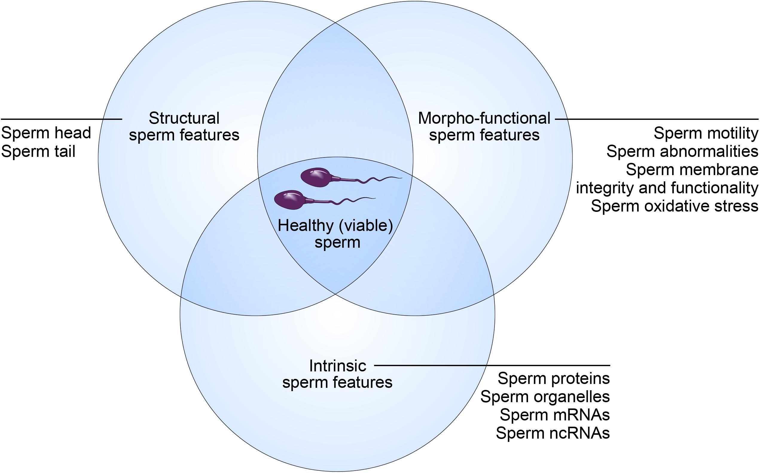 Sperm Fotos