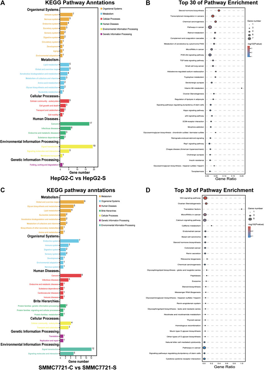 Frontiers | Transcriptome Analysis of the Inhibitory Effect