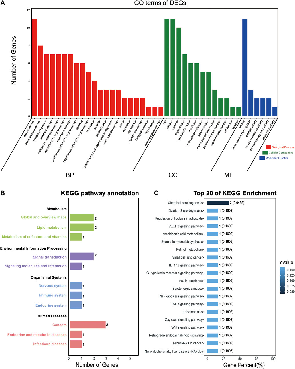 Frontiers | Transcriptome Analysis of the Inhibitory Effect
