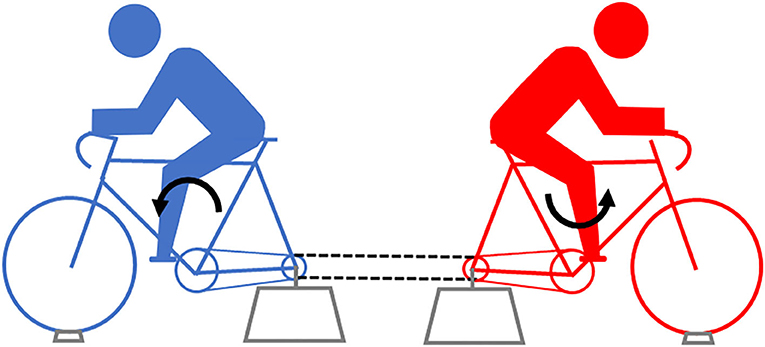 Figure 3 - Eccentric cycling.