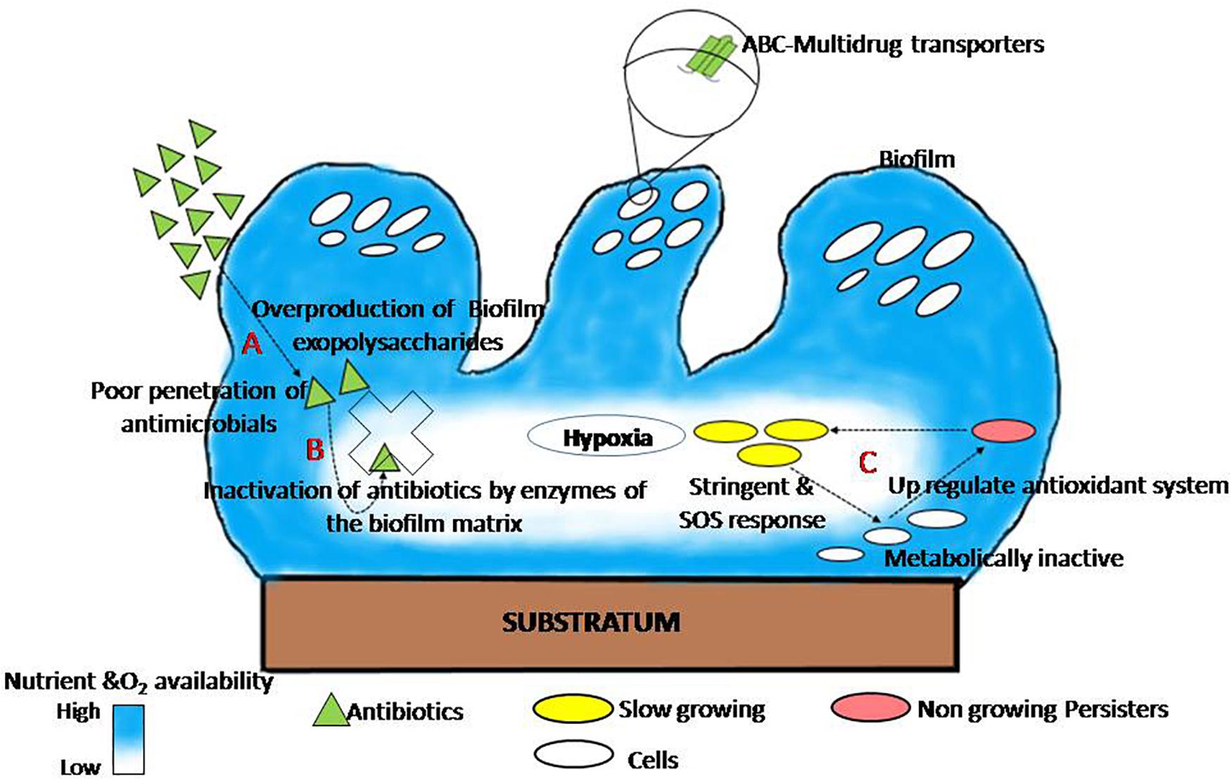 Anti-pathogen measures