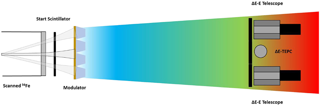 www.frontiersin.org