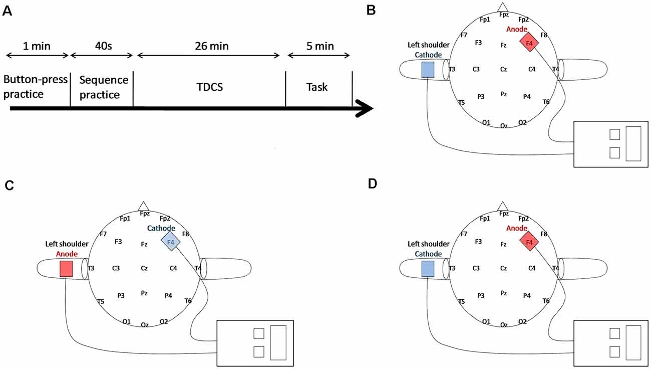 dorsolateral prefrontal cortex tdcs