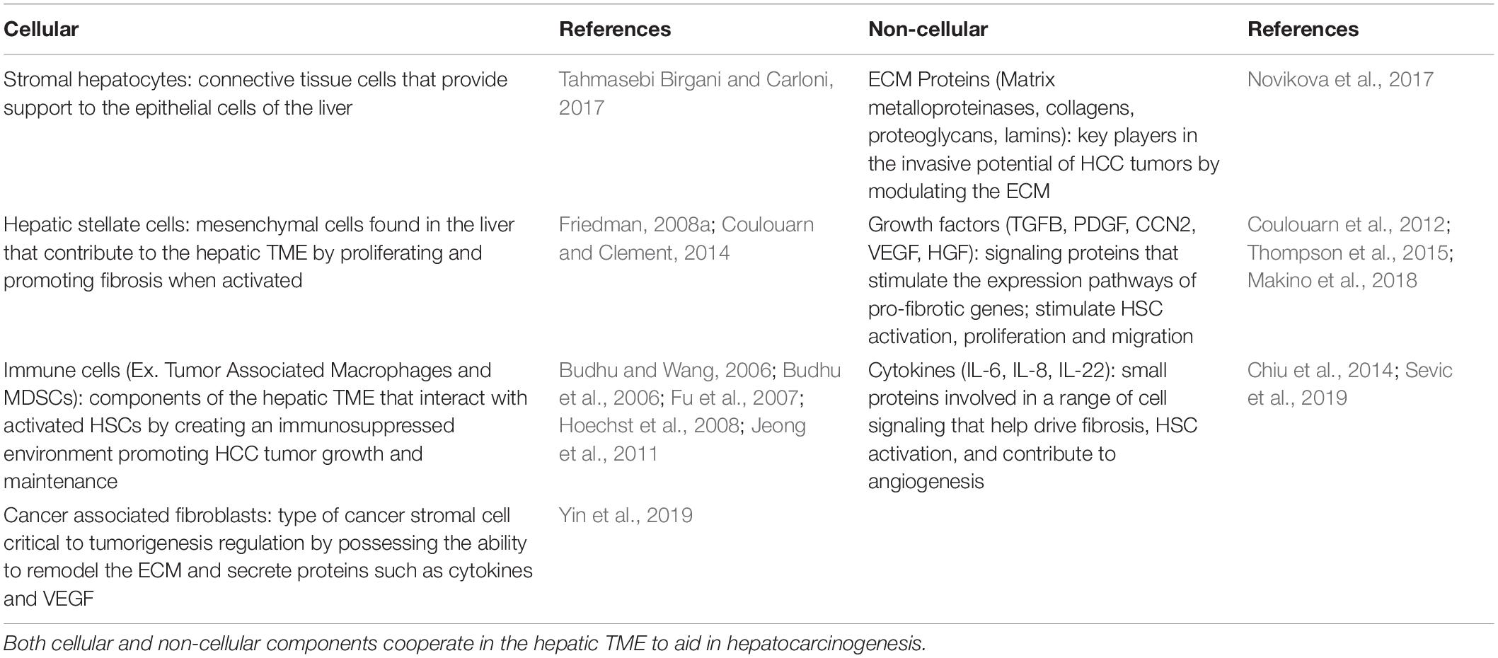 Frontiers  Hepatic Stellate Cells and Hepatocarcinogenesis  Cell