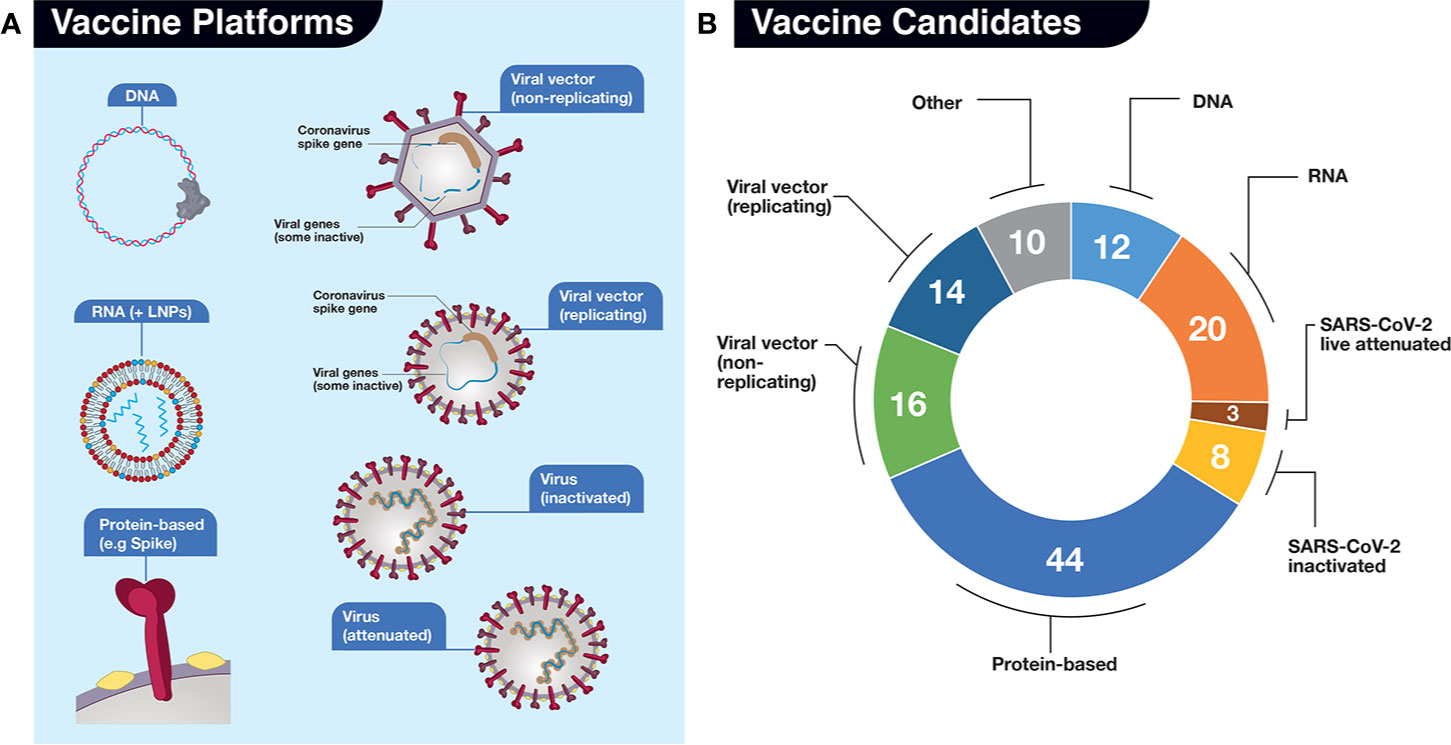 Коронавирус прививки сколько. Эффективность вакцинации от коронавируса. Типы вакцин от коронавируса. Диаграммы по прививкам от коронавируса. Коронавирус инфографика.