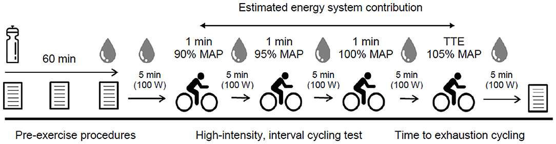 PDF) Sodium bicarbonate supplementation improves performance in