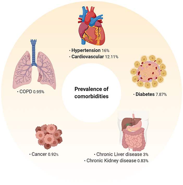 Comorbidities meaning