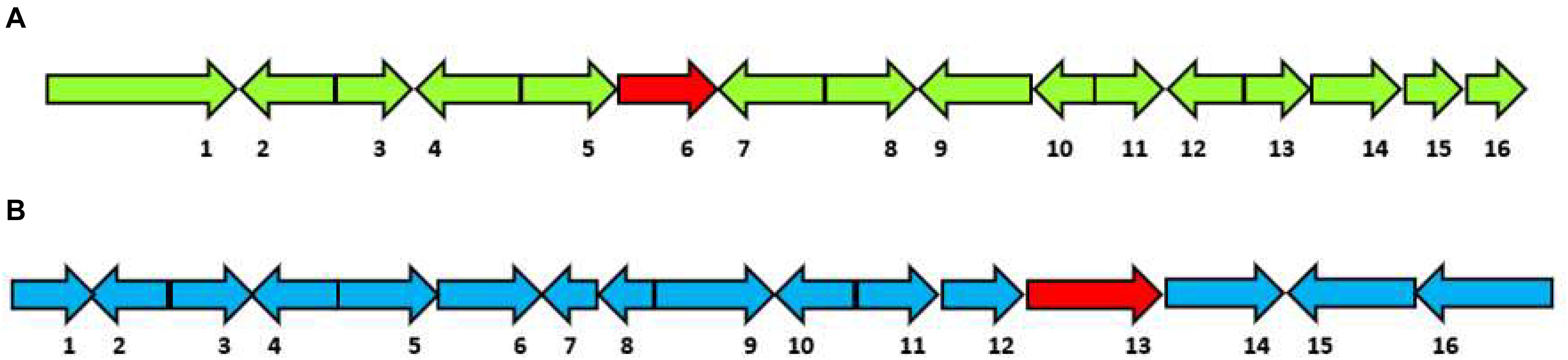 www.frontiersin.org
