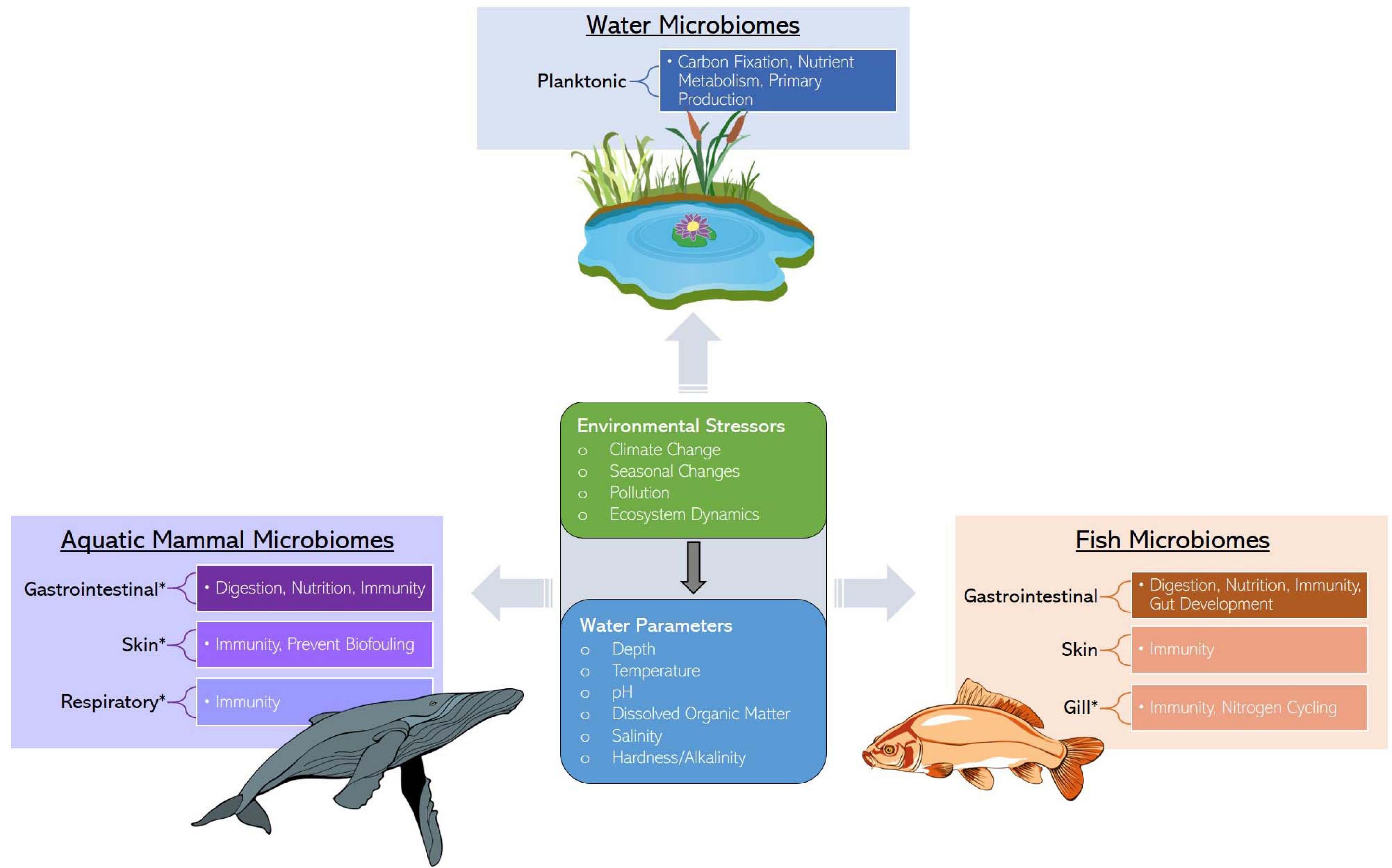 Frontiers | Microbiome Composition and Function in Aquatic Vertebrates:  Small Organisms Making Big Impacts on Aquatic Animal Health