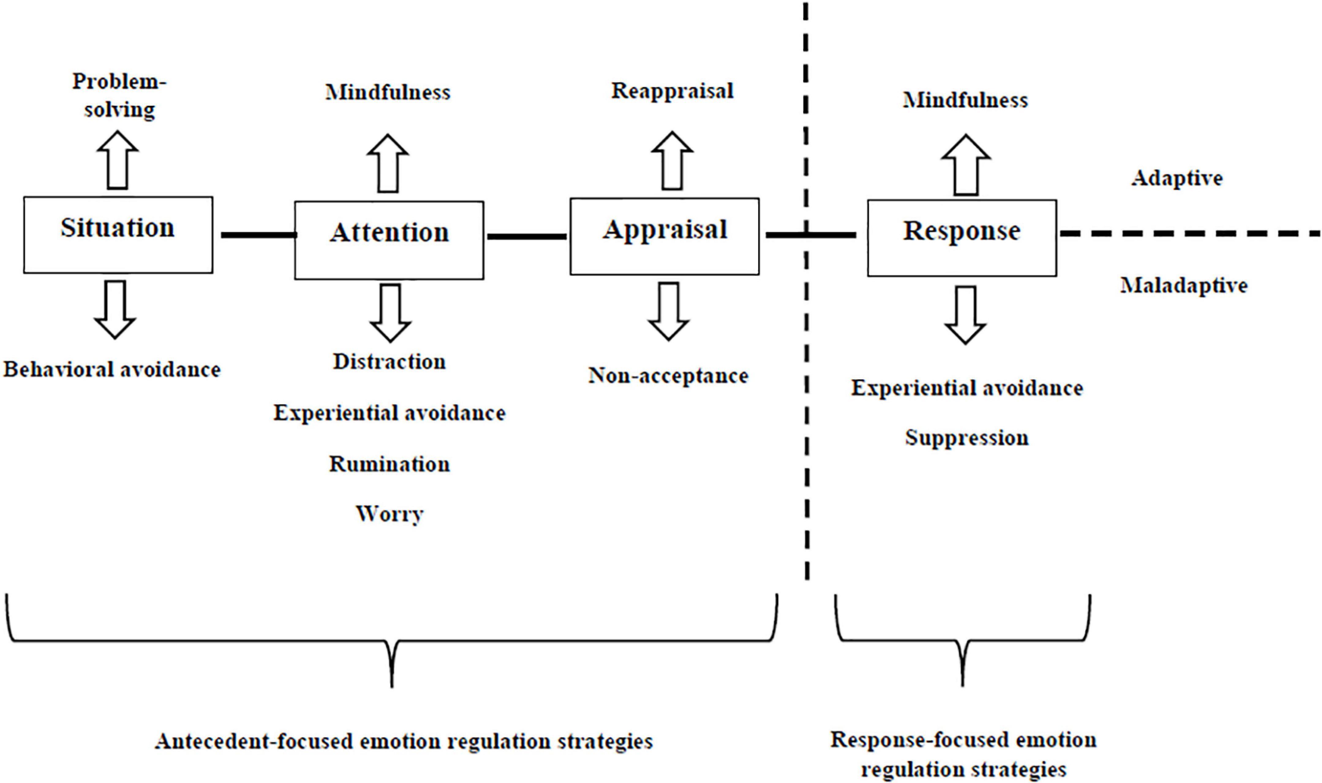 Emotion Regulation Strategies. Emotion Regulation.