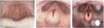 www.frontiersin.org
