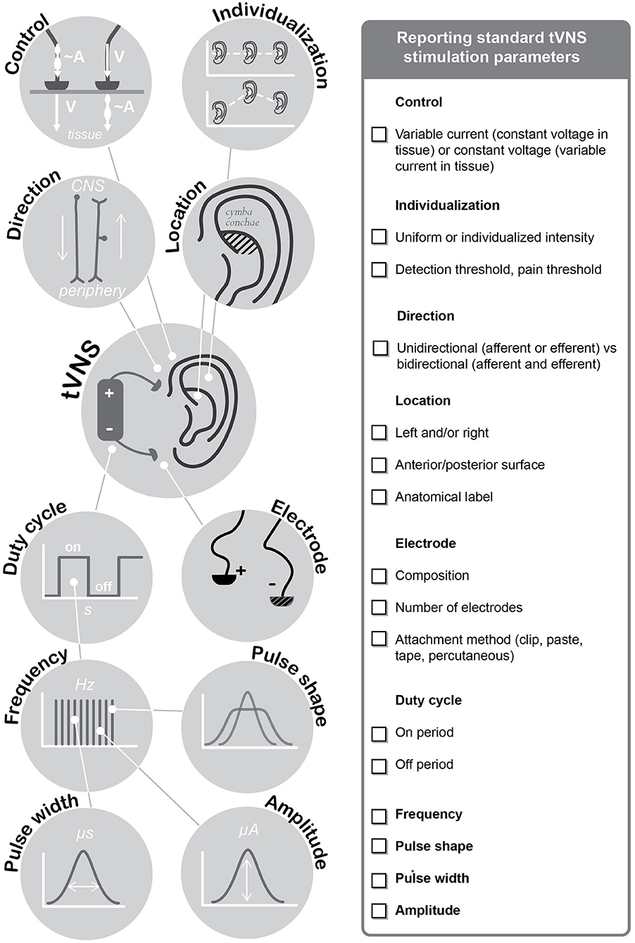 Electrical Dry Needling for Auricular Vagus Nerve Stimulation