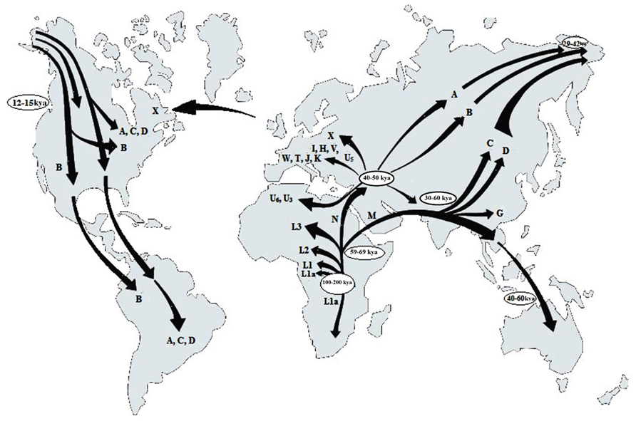 www.frontiersin.org