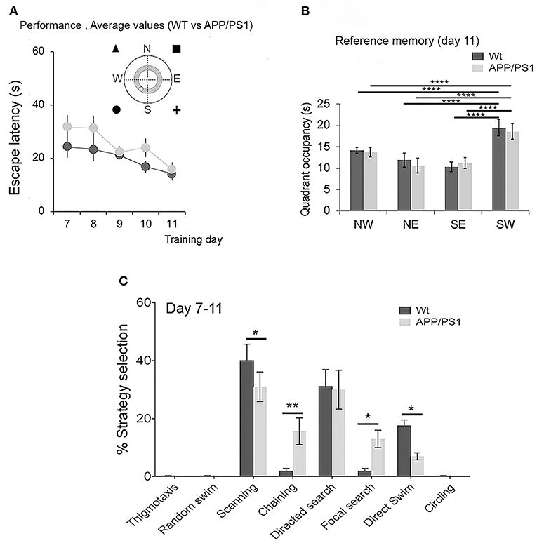 Search strategy analysis of Tg4-42 Alzheimer Mice in the Morris