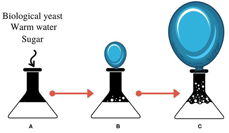 https://www.frontiersin.org/files/Articles/568656/frym-09-568656-HTML-r3/image_m/figure-2.jpg