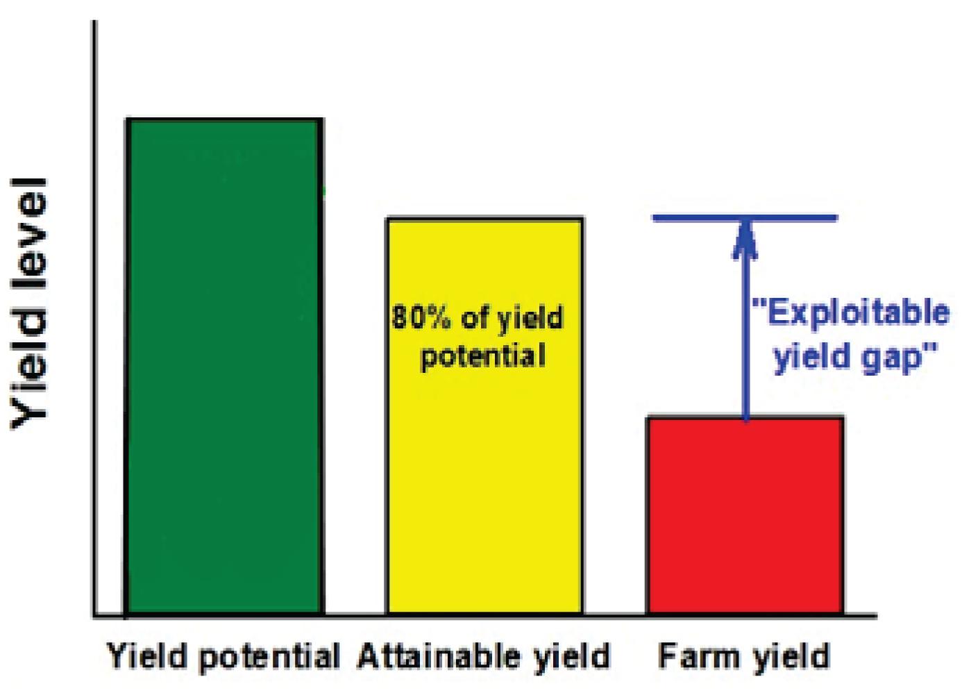 Frontiers A Review of Durum Wheat: Enhancing Production Systems Exploring Genotype, Environment, and Management (G × × M) Synergies | Plant Science