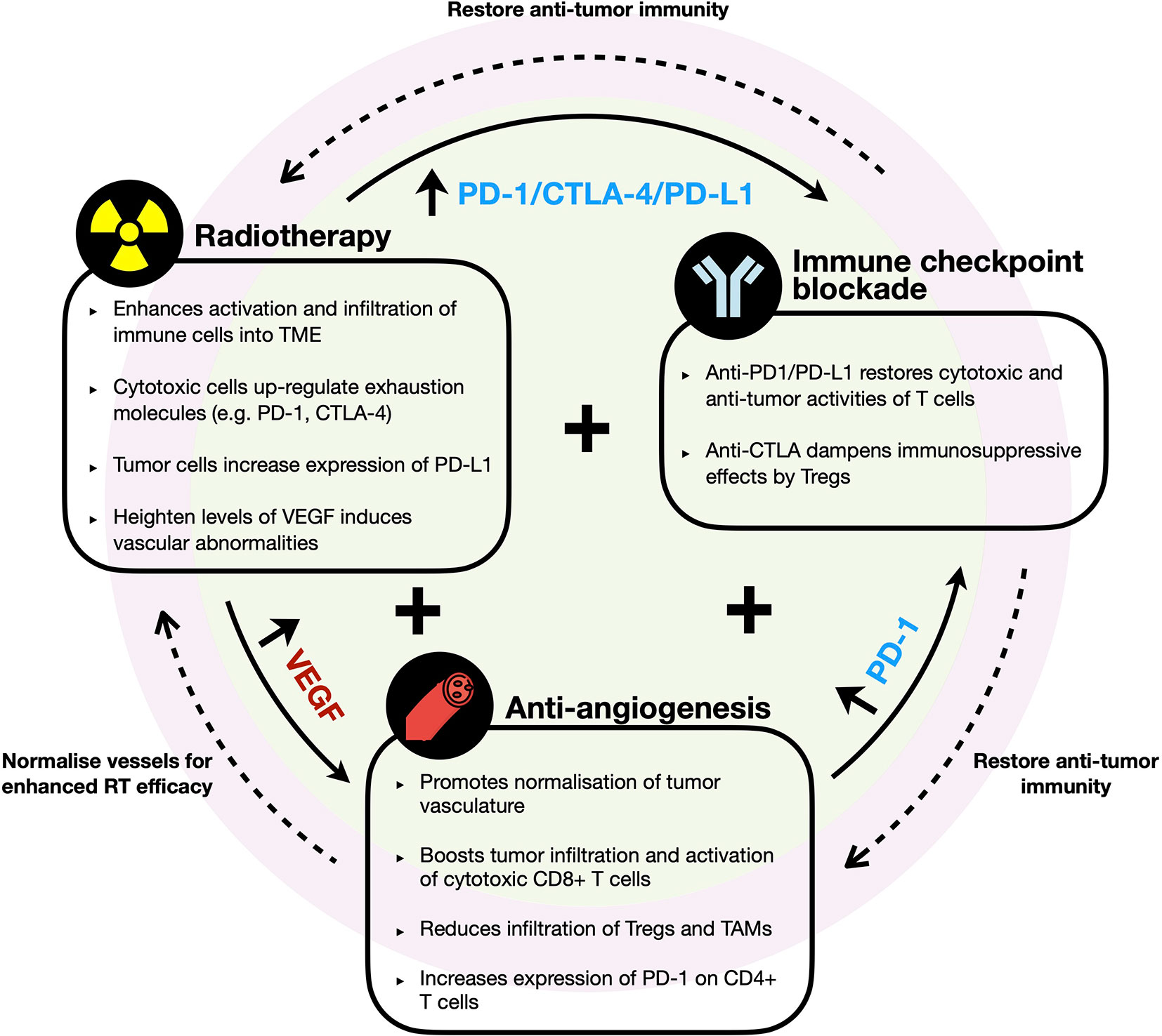 Frontiers Combinational Immunotherapy For Hepatocellular Carcinoma