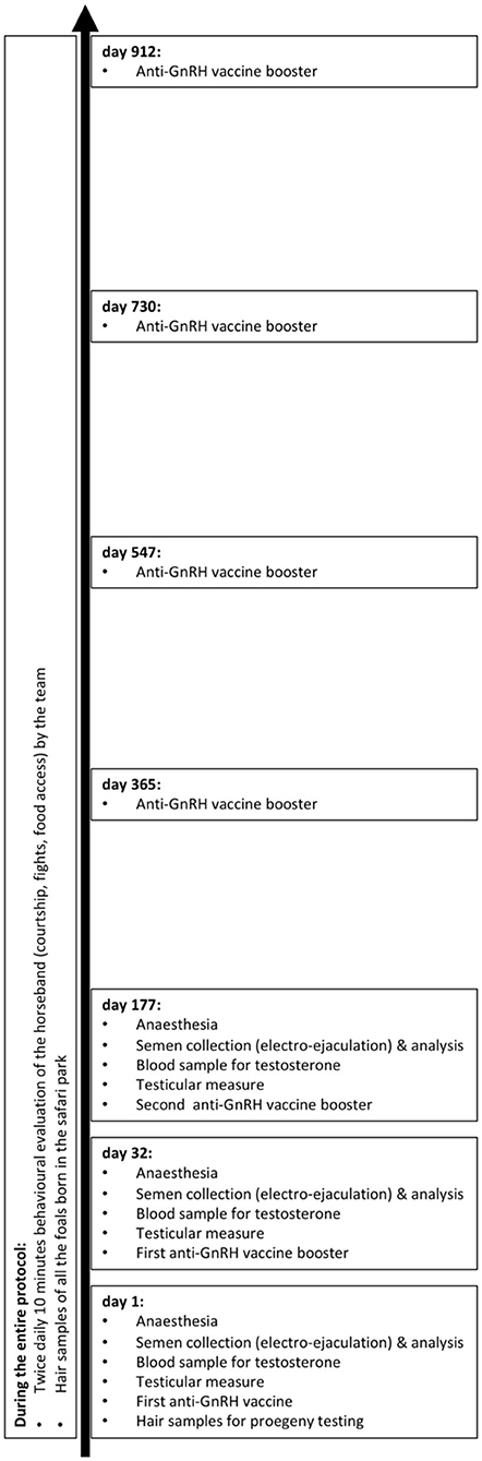 www.frontiersin.org